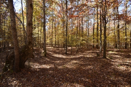 177.6 Acres Hunting and recreational property for sale in TN - image 9