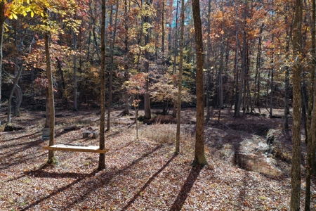 177.6 Acres Hunting and recreational property for sale in TN - image 28