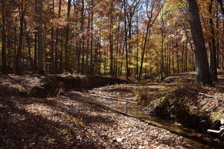 177.6 Acres Hunting and recreational property for sale in TN - image 2