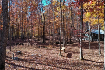 177.6 Acres Hunting and recreational property for sale in TN - image 27