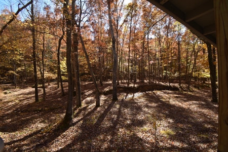 177.6 Acres Hunting and recreational property for sale in TN - image 24