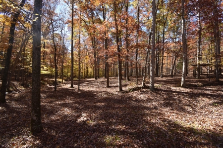 177.6 Acres Hunting and recreational property for sale in TN - image 23