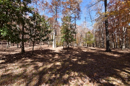 177.6 Acres Hunting and recreational property for sale in TN - image 17