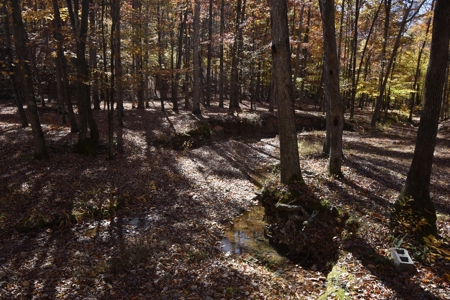 177.6 Acres Hunting and recreational property for sale in TN - image 19