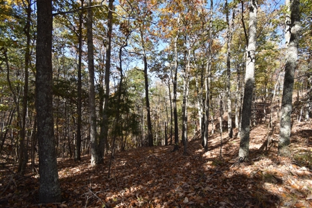 177.6 Acres Hunting and recreational property for sale in TN - image 12