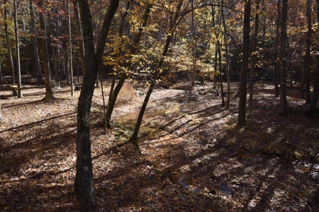 177.6 Acres Hunting and recreational property for sale in TN - image 20