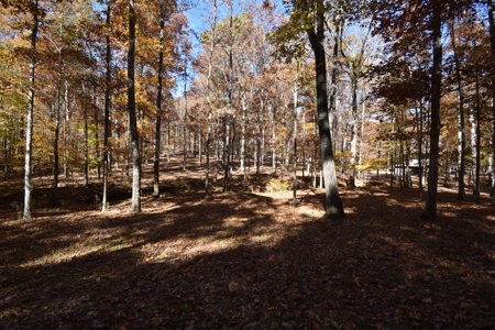 177.6 Acres Hunting and recreational property for sale in TN - image 5