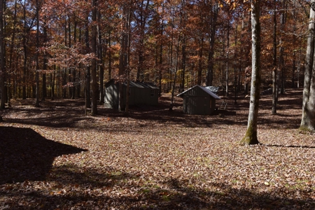 177.6 Acres Hunting and recreational property for sale in TN - image 16