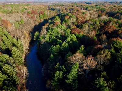 Country Homesite, Hunting & Recreation Land For Sale - image 9