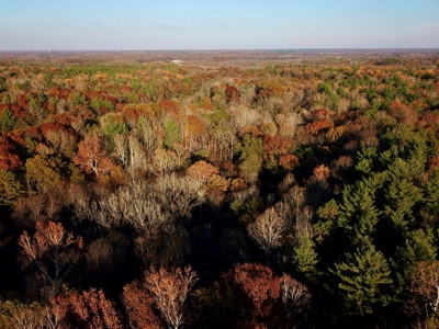 Country Homesite, Hunting & Recreation Land For Sale - image 7