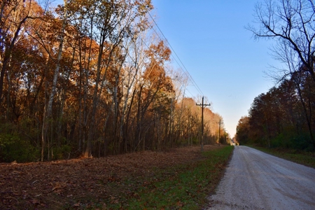 Country Homesite, Hunting & Recreation Land For Sale - image 17