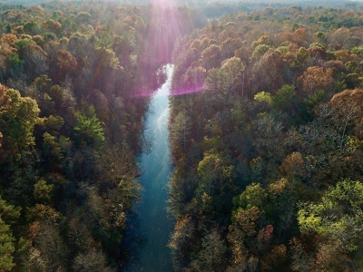 Country Homesite, Hunting & Recreation Land For Sale - image 8