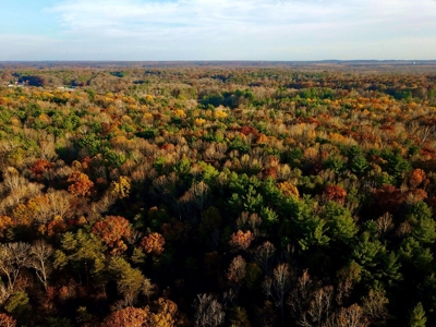 Country Homesite, Hunting & Recreation Land For Sale - image 13