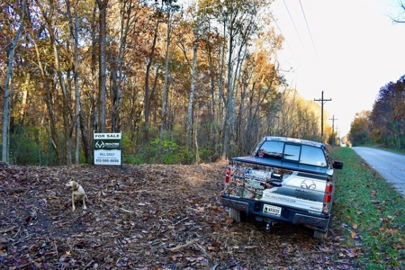 Country Homesite, Hunting & Recreation Land For Sale - image 15
