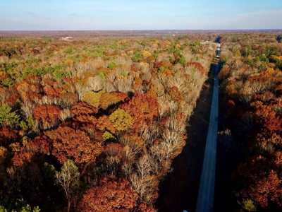 Country Homesite, Hunting & Recreation Land For Sale - image 1