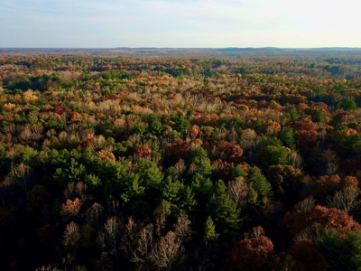 Country Homesite, Hunting & Recreation Land For Sale - image 14