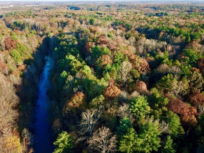 Country Homesite, Hunting & Recreation Land For Sale - image 10