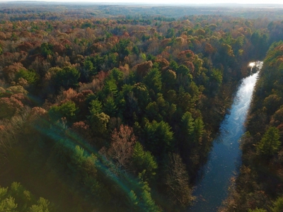 Country Homesite, Hunting & Recreation Land For Sale - image 11