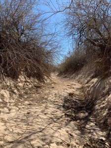 Land For Sale 40 Acres Bouse Arizona - image 3