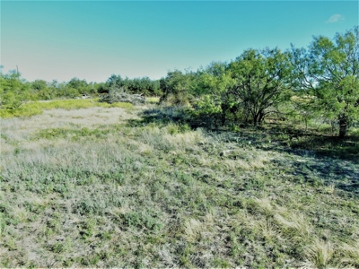 Prime Acreage for sale near May TX - image 5