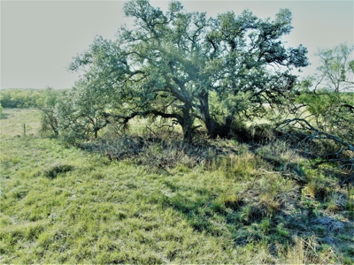 Prime Acreage for sale near May TX - image 4
