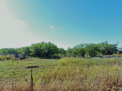Prime Acreage for sale near May TX - image 6