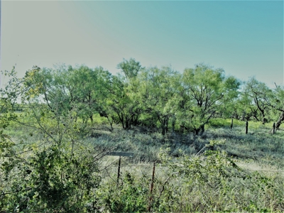 Prime Acreage for sale near May TX - image 8
