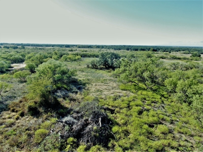 Prime Acreage for sale near May TX - image 1