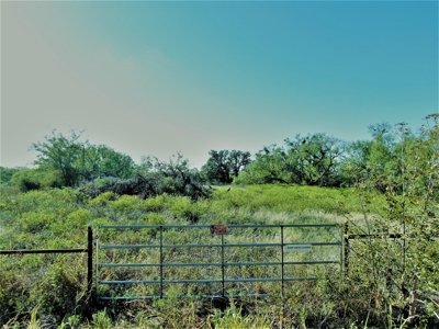 Prime Acreage for sale near May TX - image 7