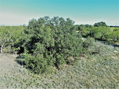 Prime Acreage for sale near May TX - image 3