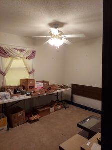 3 Bedroom, 2 Bath Home, Robinson, IL | For Sale @ Auction - image 40