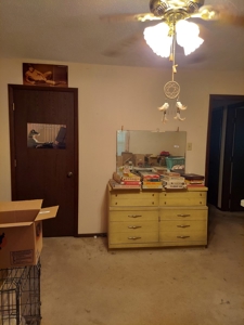 3 Bedroom, 2 Bath Home, Robinson, IL | For Sale @ Auction - image 44