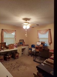 3 Bedroom, 2 Bath Home, Robinson, IL | For Sale @ Auction - image 43