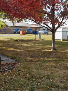 3 Bedroom, 2 Bath Home, Robinson, IL | For Sale @ Auction - image 11