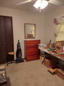 3 Bedroom, 2 Bath Home, Robinson, IL | For Sale @ Auction - image 41