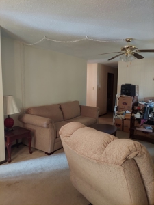 3 Bedroom, 2 Bath Home, Robinson, IL | For Sale @ Auction - image 27