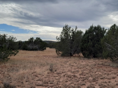 Beautiful Property - image 1