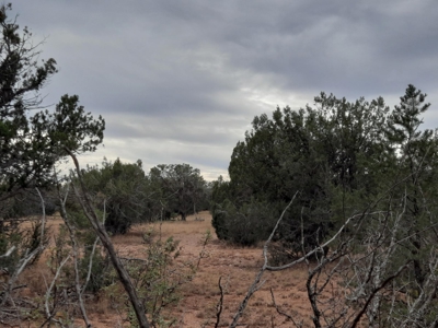 Beautiful Property - image 10