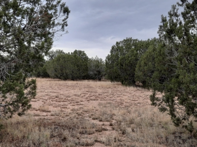Beautiful Property - image 6