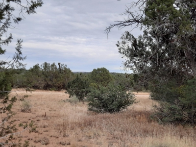 Beautiful Property - image 3