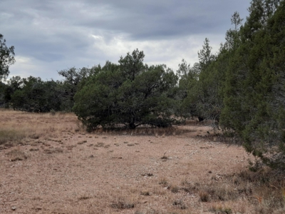 Beautiful Property - image 8