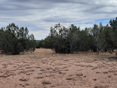 Beautiful Property - image 4