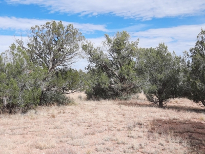 Beautiful Property - image 6