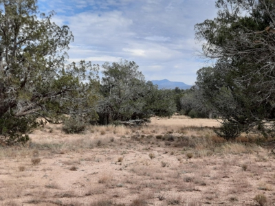Beautiful Property - image 8