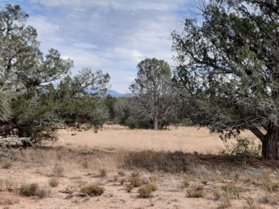 Beautiful Property - image 1