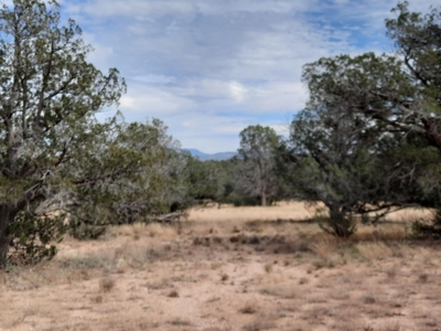 Beautiful Property - image 7