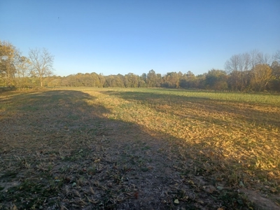!0 Acres in Webster County, Missouri,  Live Water Crop land - image 1