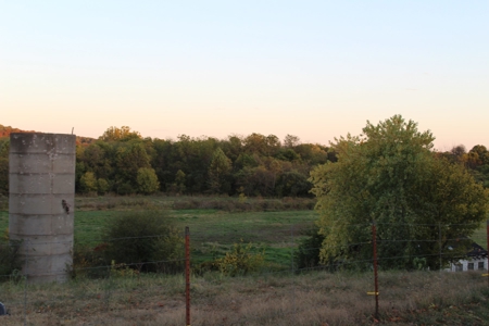 21 Beautiful Acres in Webster County Missouri - image 3