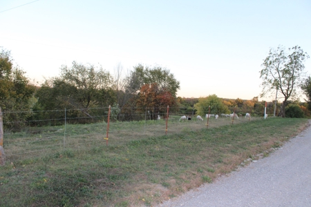 21 Beautiful Acres in Webster County Missouri - image 2