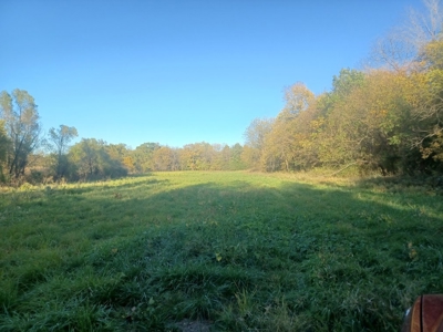 70  Acres in Webster County Missouri - image 7